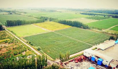 為種子保駕護航--新疆金豐源種業股份