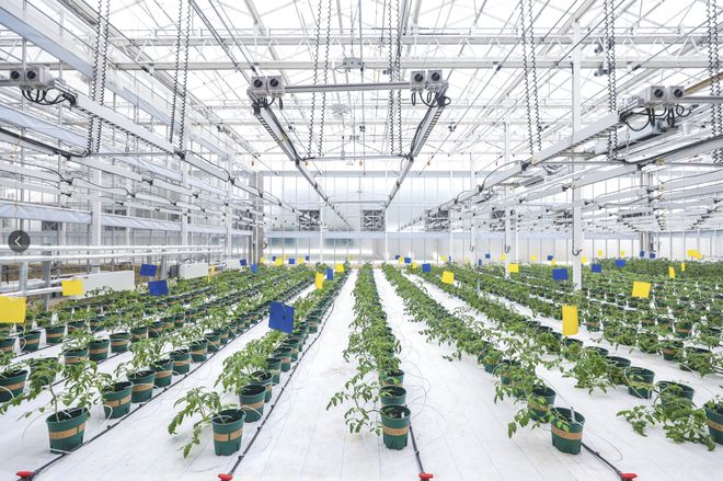 種濟(jì)天下,通達(dá)未來