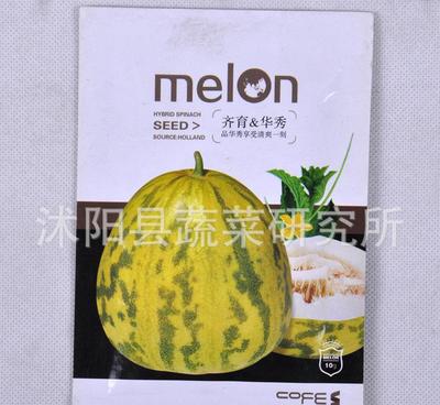 澤田種業優質甜瓜種子 家庭果蔬種植的理想選擇
